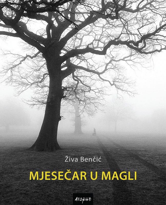 MJESEČAR U MAGLI