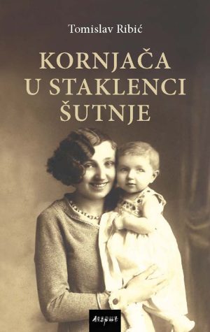 KORNJAČA U STAKLENCI ŠUTNJE