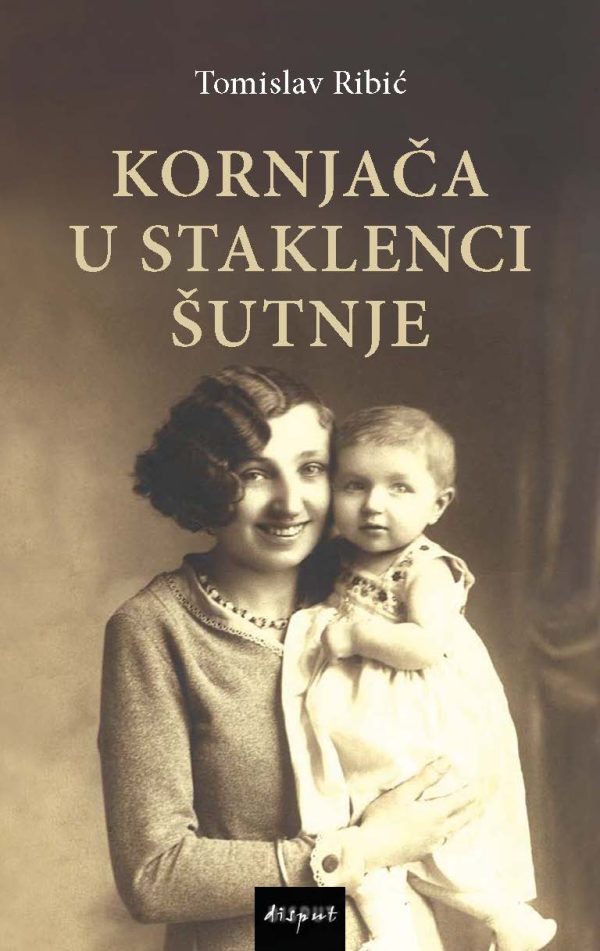 KORNJAČA U STAKLENCI ŠUTNJE